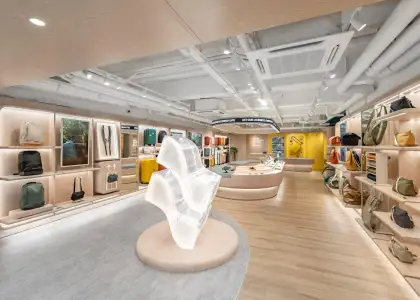 Jacqueline's previous work for LOJEL