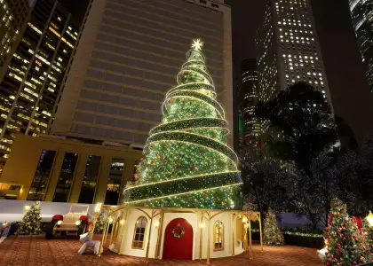 The 20-metre Christmas tree