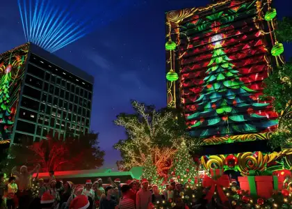 Artist's perspective of the immersive light show