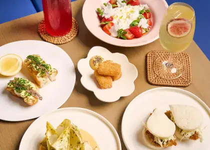 Group photo of Twist's offerings