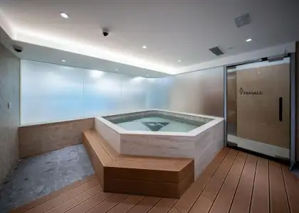 Contrast Therapy Area - Cold Plunge Pool