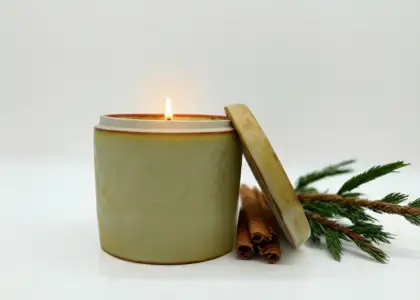 Merry Cinnamon Artisanal Scented Soy Candle Pot