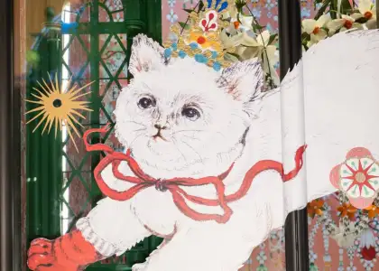 One of the winter Thai cats