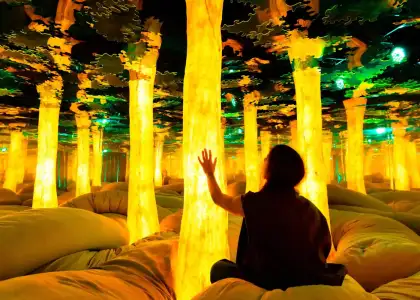 Euphoria Grove at Dopamine Land