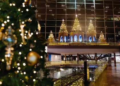 A close up of some of the trees at MBS