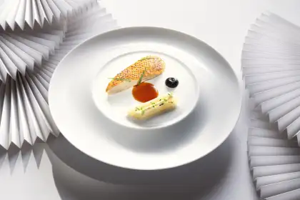 Grilled Chicken marinated with tarragon, Salsifies Potato and sauce supreme