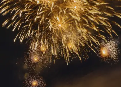 Fireworks in the sky