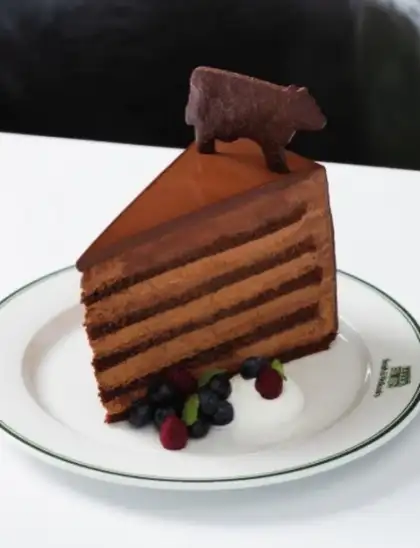 Gigantic Chocolate Cake
