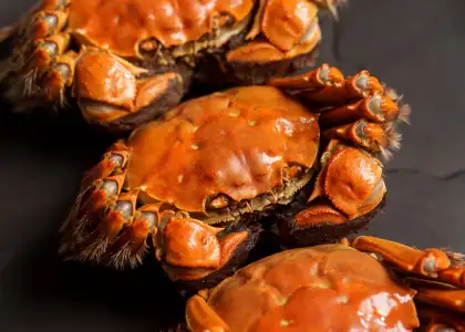 A close up of hairy crab