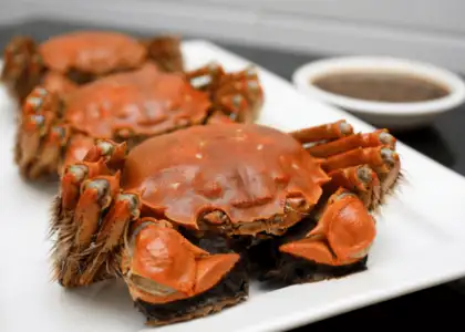 Hairy crab