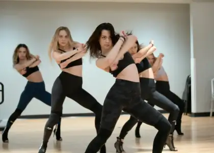 Debut Diaries: 8 Documentaries About the Climb to Idol Stardom