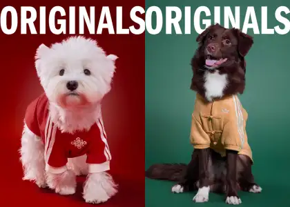 adidas Originals Pet Collection