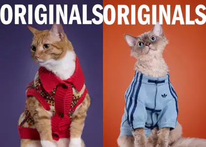 adidas Originals Pet Collection