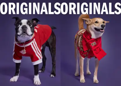 adidas Originals Pet Collection