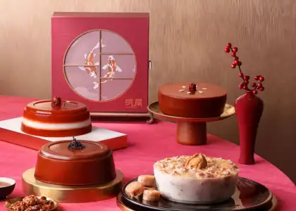 Chinese pudding cordis