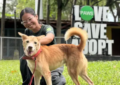 A photo of a woman and a brown dog