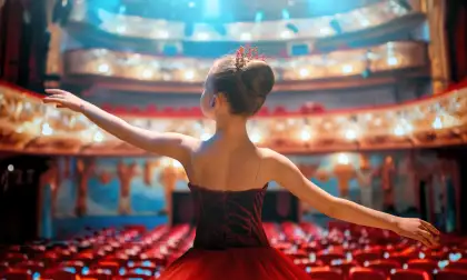 Musicals & Concerts Icon