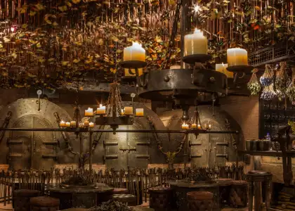 A photo of Iron Fairies Hong Kong interior and butterfly ceiling