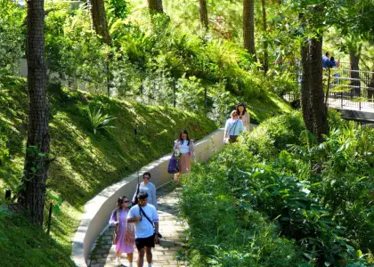 A scene in Mt. Camisong Forest Park and Events