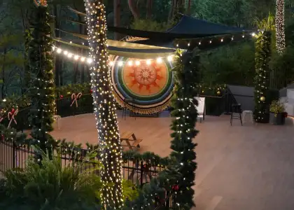 A colorful backdrop at the back surrounded by trees and lights