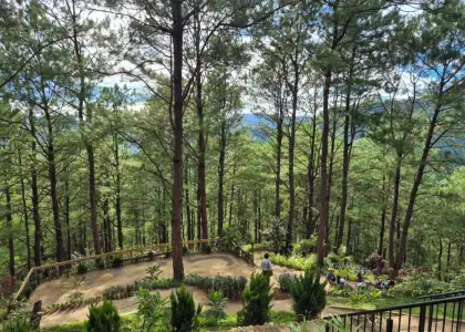 A mountainside hiking trail