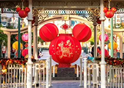 A photo of the giant Mickey-shaped lantern