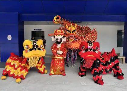 A photo of lion and dragon dancers in the Philippines