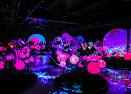 A photo of an immersive art space