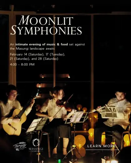 Moonlit Symphonies