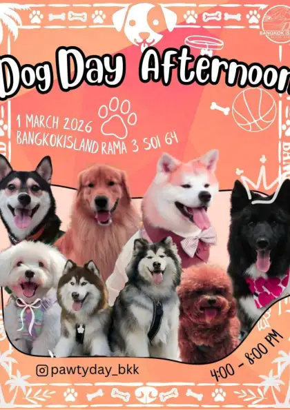 DOG DAY AFTERNOON 2026