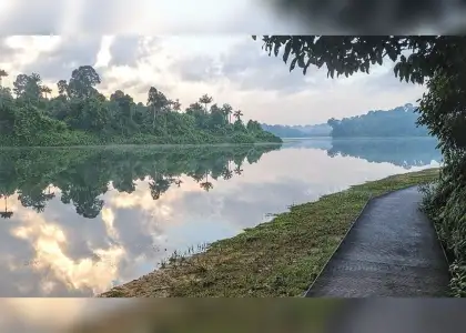 A serene path leads to a tranquil lake, surrounded by lush trees and green grass.