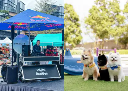 A DJ set and a photo of dogs at a playground