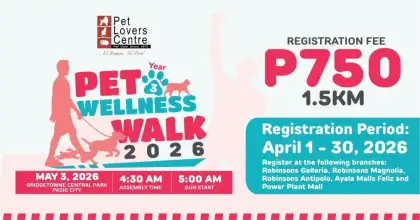 Pet Wellness Walk