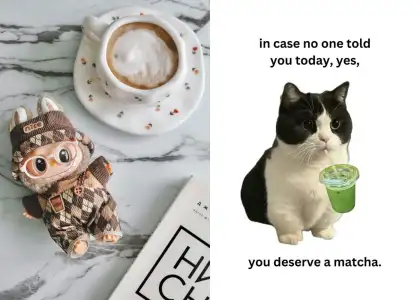 Little treat culture