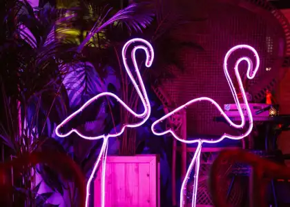 Flamingo Neon signs at Tropic City Bangkok bar interior