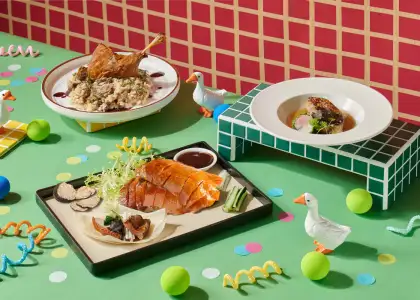 Duck dishes prepared in several ways