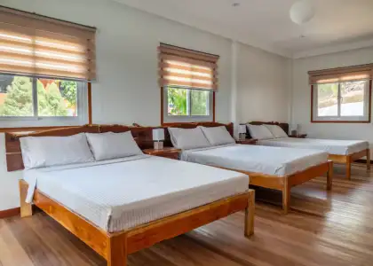 Three beds lined up in a bedroom