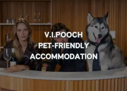 1 V.I.Pooch - Luxury Pet-Friendly Accommodation at Ovolo Hotels