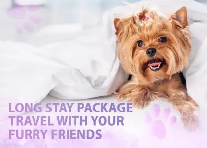 6 Long Stay Package, Travel with Your Furry Friends at Regal Riverside Hotel