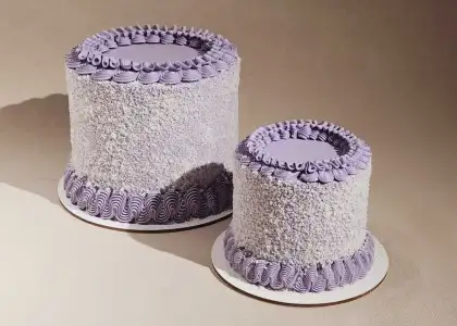 Vission Nine Ube Coconut Cake