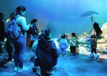 Countryside Conservation Office Swire Family Fun Day x Marine Park 30th Anniversary Roving Exhibition - In full support of Hong Kong BSAP 2035