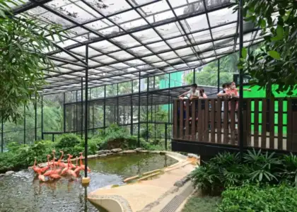 Zoological Botanical Gardens Central Neighbourhood Guide