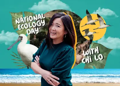 Chi Lo on Finding Home in Hong Kong's Rich Natural Ecology