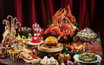 Congress Plus Festive Lunch Dinner Buffet