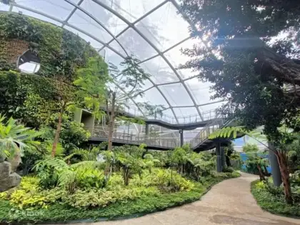 Philippine Biodome in Manila actual image of destination with trees and leaves