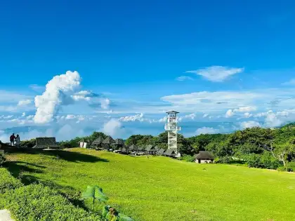 Tagaytay Picnic Grove green landscape