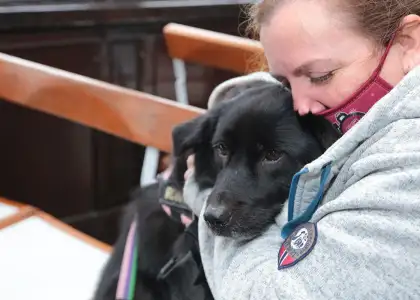 Header SPCA dog ferry Whats On HK Apr 27 May 3