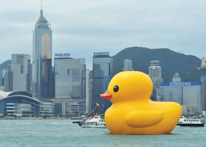 Hong Kongs Iconic Giant Rubber Duck Back this Summer Header