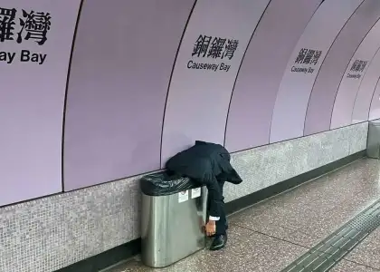 225382782 536712090813913 8873312761735084467 n