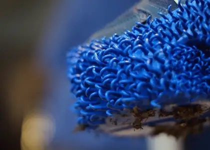 Urban Rewilding Gets a Boost from Rewild The Run Trainers Header